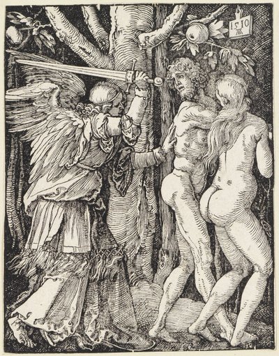  da Albrecht Dürer