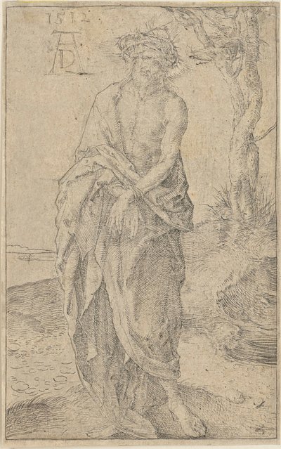  da Albrecht Dürer