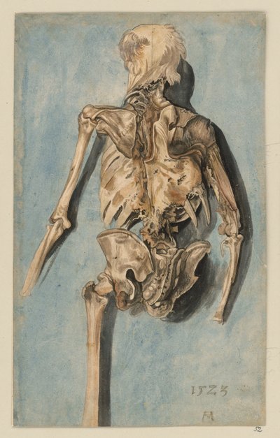  da Albrecht Dürer
