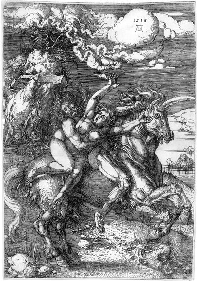  da Albrecht Dürer