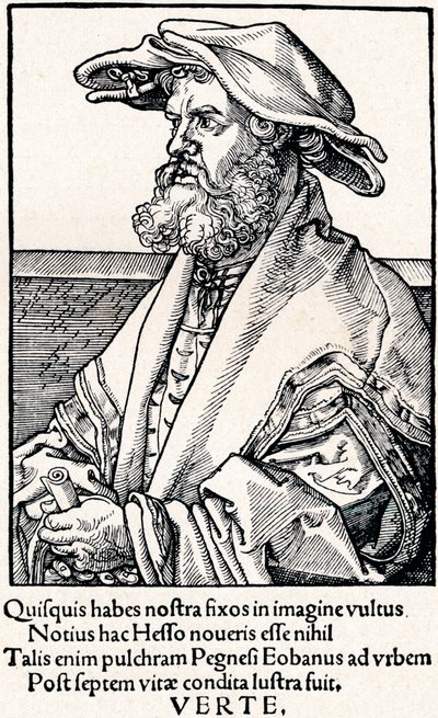 Eobanus Hesse, 1527, 1906 da Albrecht Dürer