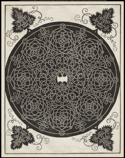 Quinto nodo, con uno scudo bianco con sei punti al centro, c.1506 da Albrecht Dürer