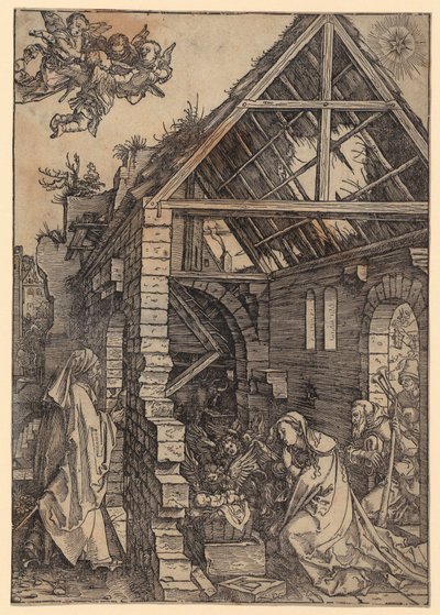  da Albrecht Dürer