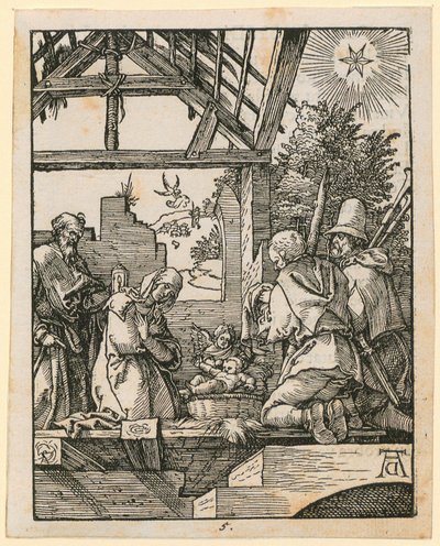  da Albrecht Dürer