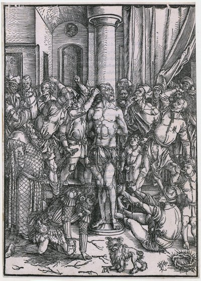  da Albrecht Dürer