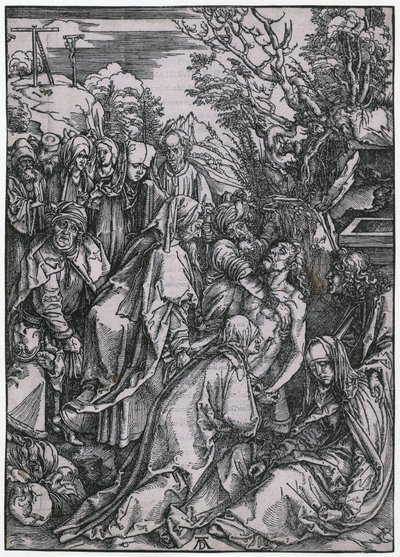  da Albrecht Dürer