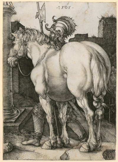  da Albrecht Dürer