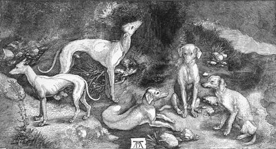 Gruppo di Cani. Dall