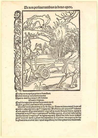  da Albrecht Dürer