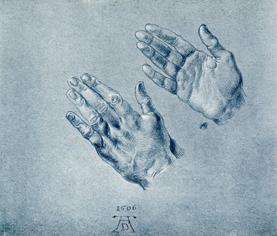 Mani dell