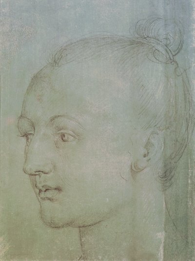 Testa di una giovane donna da Albrecht Dürer