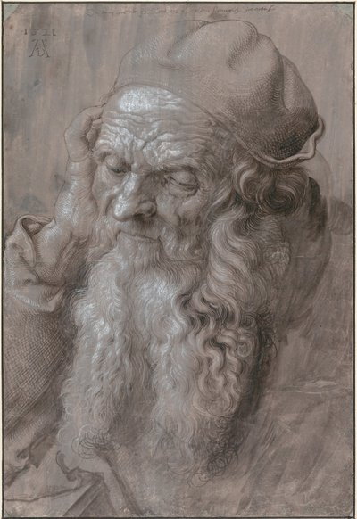 Testa di un vecchio, 1521 da Albrecht Dürer