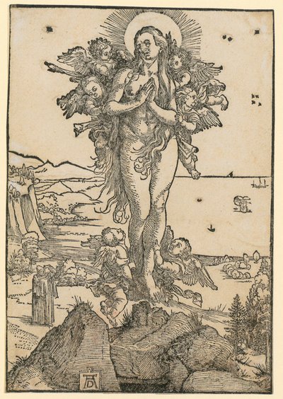  da Albrecht Dürer