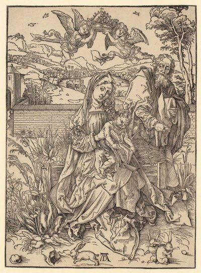  da Albrecht Dürer