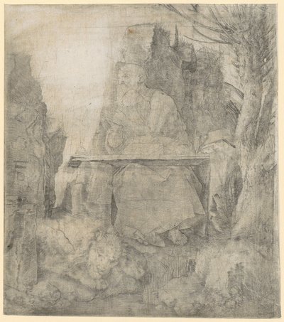 San Girolamo accanto al salice da Albrecht Dürer