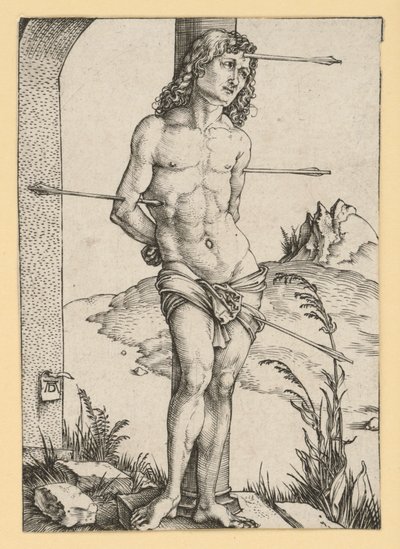  da Albrecht Dürer