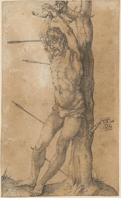  da Albrecht Dürer