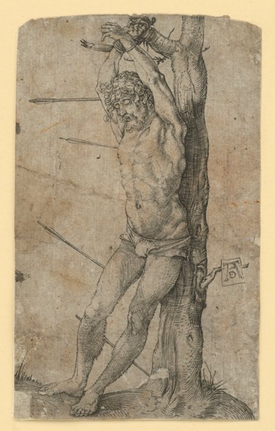  da Albrecht Dürer