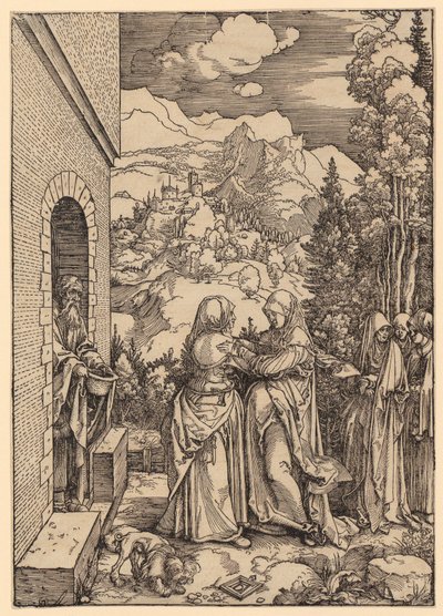  da Albrecht Dürer