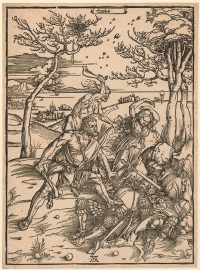  da Albrecht Dürer