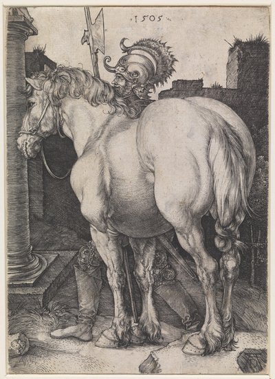  da Albrecht Dürer