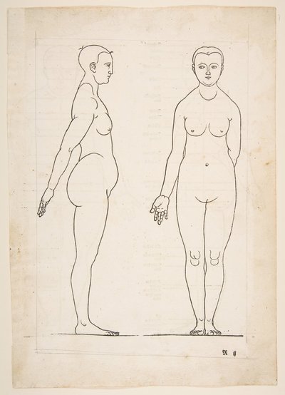 Illustrazione da Dürers Vier Bucher von Menslicher Proportion, Norimberga da Albrecht Dürer