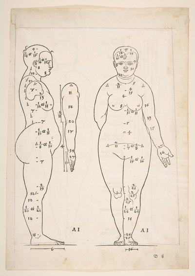 Illustrazione da Dürers Vier Bucher von Menslicher Proportion, Norimberga da Albrecht Dürer