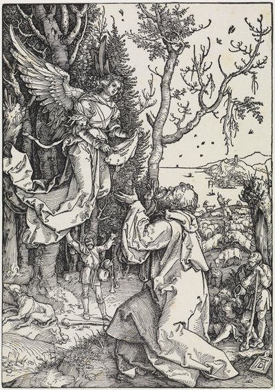 Gioacchino nel campo da Albrecht Dürer