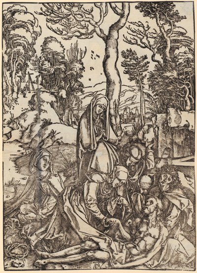  da Albrecht Dürer