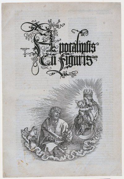  da Albrecht Dürer