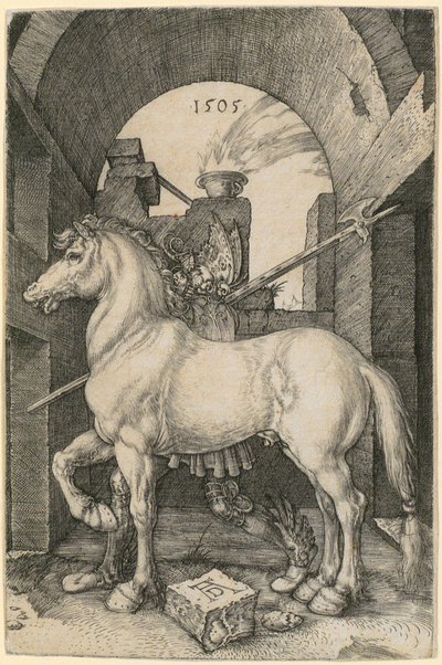  da Albrecht Dürer