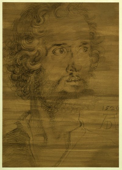  da Albrecht Dürer