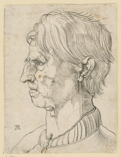 Testa di un anziano uomo senza barba, di profilo verso sinistra da Albrecht Dürer
