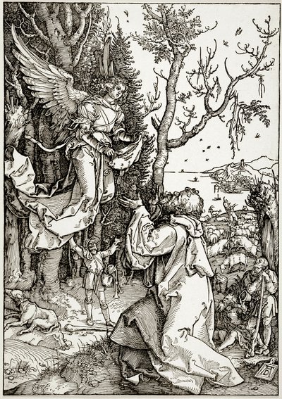  da Albrecht Dürer