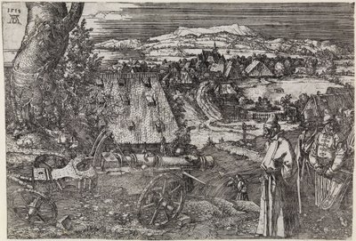 Paesaggio con cannone (Il grande cannone; Il cannone) da Albrecht Dürer