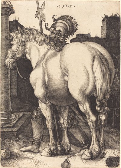 Grande Cavallo da Albrecht Dürer