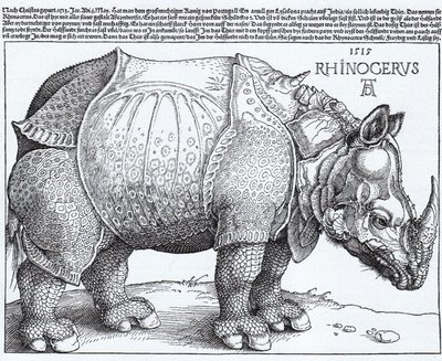 Latino:  Rhinocerus Il rinoceronte da Albrecht Dürer