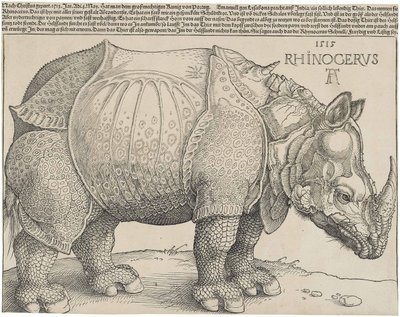 Latino:  Rhinocerus Il rinoceronte da Albrecht Dürer
