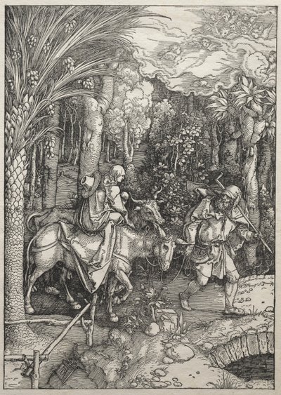 Vita della Vergine: Fuga in Egitto da Albrecht Dürer