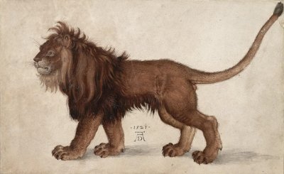 Leone, 1521 da Albrecht Dürer