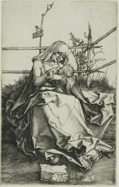 Madonna su una sponda erbosa da Albrecht Dürer