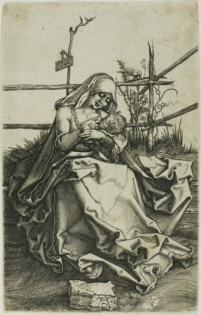 Madonna su una riva erbosa da Albrecht Dürer