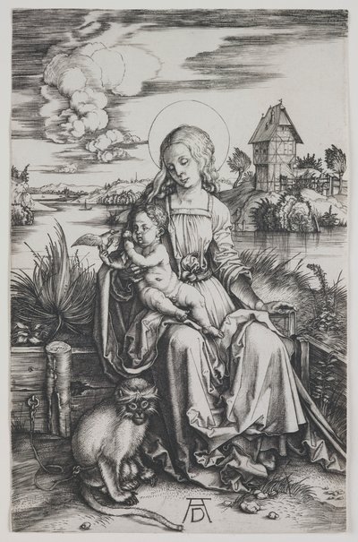  da Albrecht Dürer