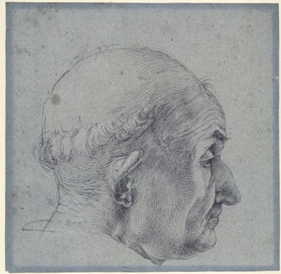  da Albrecht Dürer
