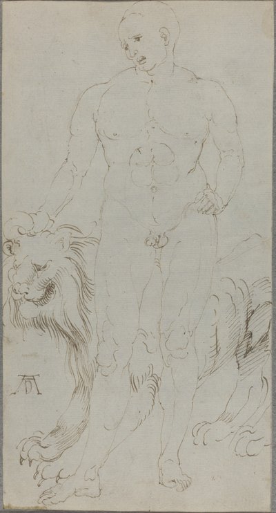 Nudo maschile con un leone [verso] da Albrecht Dürer