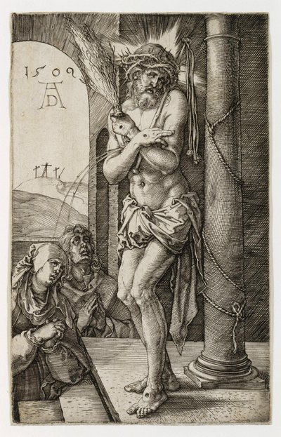  da Albrecht Dürer