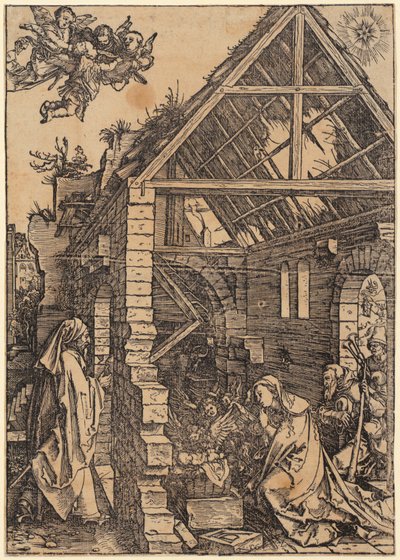  da Albrecht Dürer