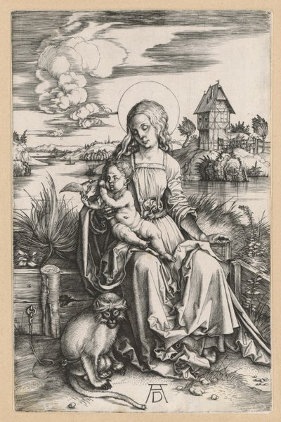  da Albrecht Dürer