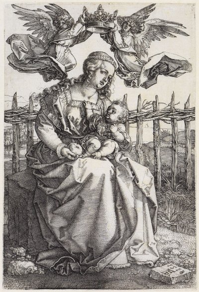  da Albrecht Dürer