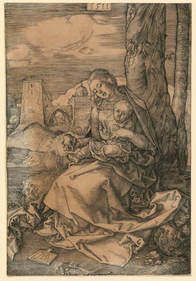  da Albrecht Dürer